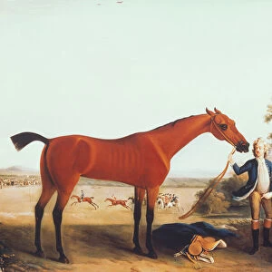 The Duke of Devonshires Racehorse Childers, 1724 (oil on canvas)