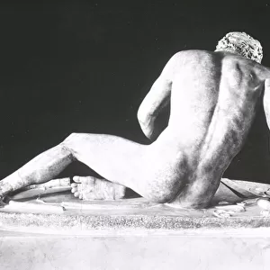Dying Gaul, copy of a Greek original of c. 230-220 BC by Epigonos (marble) (b / w photo) (back view)