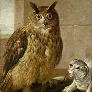 Eagle Owl and Cat with Dead Rats