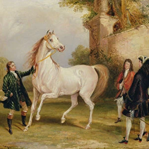 The Earl of Godolphins Roxana held by her jockey