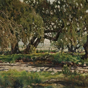 Edge of the Oak Grove, 1935 (oil on canvas)