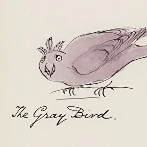 Edward Lear, The Bird Book: The Gray Bird (colour litho)