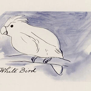 Edward Lear, The Bird Book: The White Bird (colour litho)