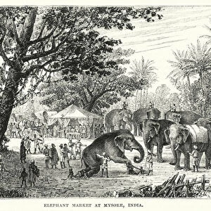 Elephant market at Mysore, India (engraving)