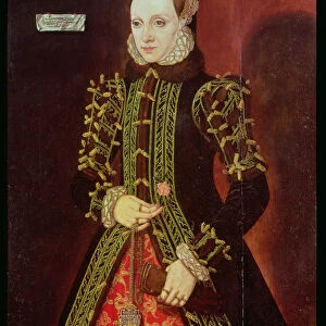 Elizabeth Fitzgerald, Countess of Lincoln, 1560 (oil on panel)