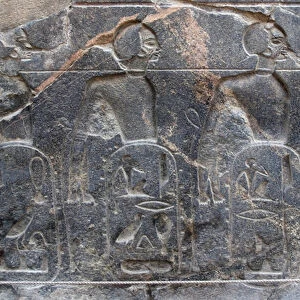 Detail of the emblems of the territories conquered by Pharaoh Ramses II (relief)