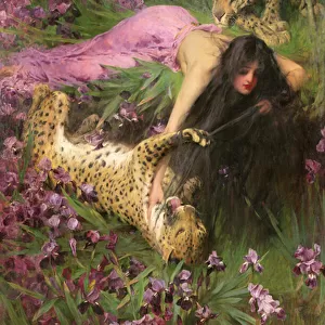 The Enchantress, c. 1901