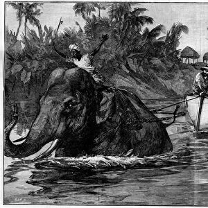 Engraving in "The Illustrous World", 3 April 1886