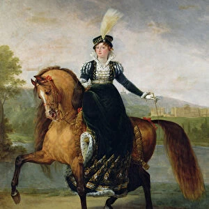 Equestrian portrait of Catherine de Wurtemberg (oil on canvas)
