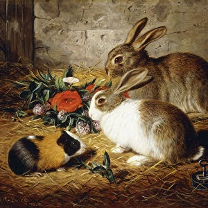 Escaped: Two Rabbits and Guinea Pig, 1880 (oil on canvas)