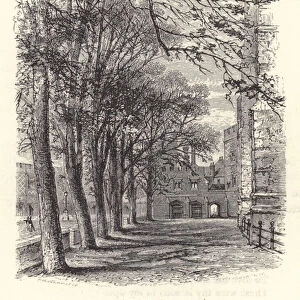 Eton College: The Long Walk (engraving)