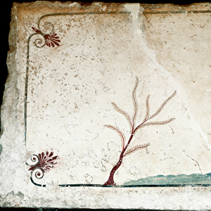 Etruscan art: A young swimmer diving. Fresco of the grave of the "diver"