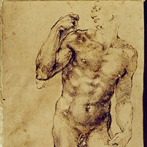 Etude d homme nu debout Drawing preparatoire de Michelangelo Buonarroti dit Michel