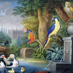 Exotic birds in an ornamental garden, c. 1650 (gouache on paper)