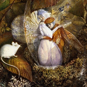 Fairy Lovers in a Birds Nest Watching a White Mouse, c