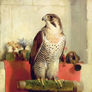 Falcon, 1837 (oil on canvas)