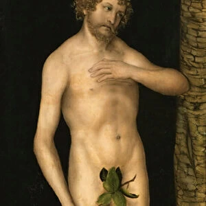 The Fall of Man: Adam - Lucas Cranach, the Elder (1472-1553). Oil on wood, ca 1510-1520