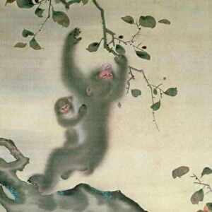 Family of Monkeys in a Tree (ink & w / c on paper)