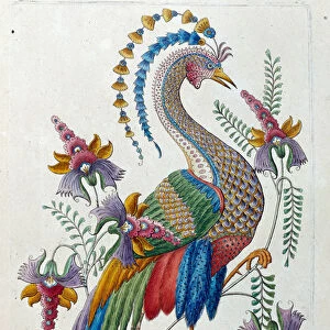 Fantastic bird. Drawing comes from a Chinese vase. Painting by Jean Antoine Fraisse