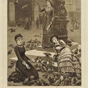 Feeding the Pigeons of St Mark s, Venice (engraving)