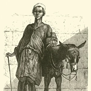 Fellah, Arab; donkey boy (engraving)