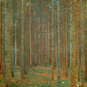 Fir Forest I, 1901 (oil on canvas)