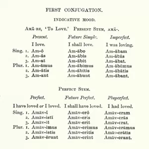 First conjugation, Latin grammar (litho)
