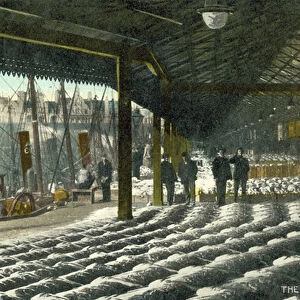 Fish Market, Aberdeen (colour photo)