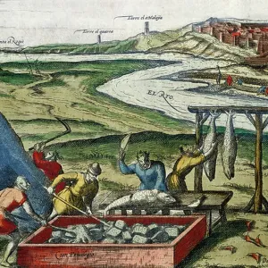 Fish processing in Conil de la Frontera, in province of Cadiz, 1657, engraving by Johannes Janssonius (1588-1664), Spain, 17th century Fish processing in Conil de la Frontera, in province of Cadiz, 1657, engraving by Johannes Janssonius (1588-1664), Spain, 17th century