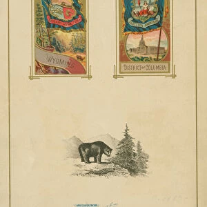 Flags of All Nations and the United States of America - Page 41, 1887 (colour litho)