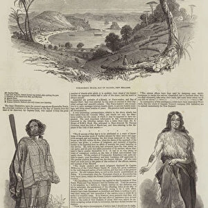 The Flagstaff War in New Zealand (engraving)