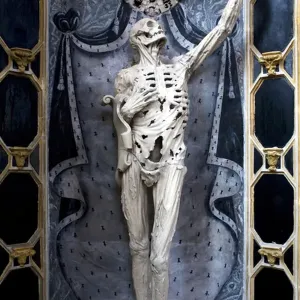 Flayed, or The Skeleton (stone) Flayed, or The Skeleton (stone)
