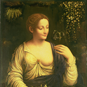 Flora, c. 1520 (oil on canvas transferred from panel)