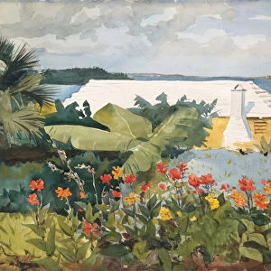 Flower Garden and Bungalow, Bermuda, 1899 (w / c and graphite on off-white wove paper)