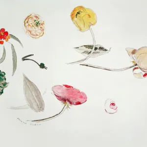 Flower study (w / c)