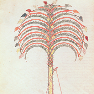 Fol. 147v The Metaphor of the Palm Tree, from the Girona Beatus (vellum)