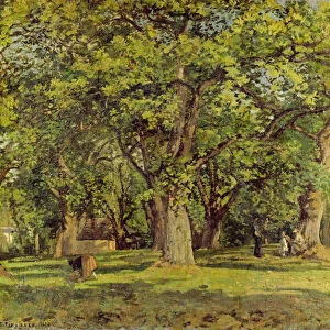 The Forest, 1870