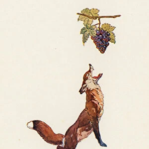 The Fox and the Grapes (colour litho)