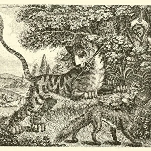 The fox and the tiger (engraving)
