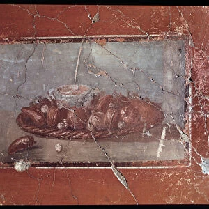 Fresco of Cryptoporticus of casa dei cervi, 5th century BC-1st century AD
