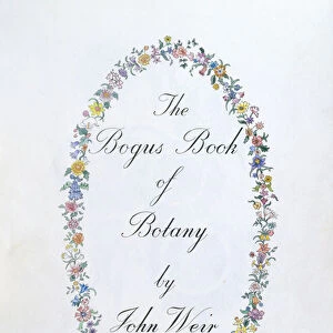 Frontispiece to The Bogus Book of Botany by John Weir, 1930-48 (ink on paper)
