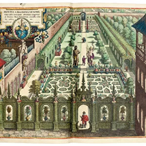 The Garden of Johan Schwinden, 1641 (hand-coloured engraving)