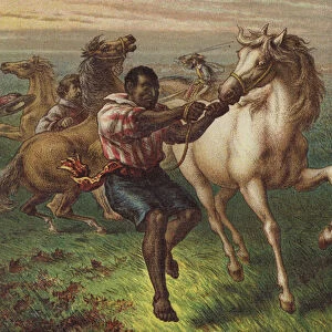 Garibaldis troopers breaking wild horses (colour litho)