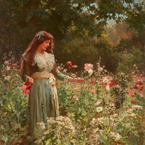 Gathering Poppies (oil on canvas)