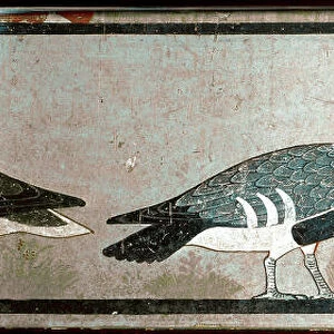 Geese, detail of a panel from the Mastaba of Itet, wife of Nefermaat