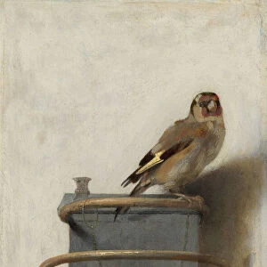 The Goldfinch, 1654 (oil on panel)