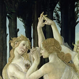 Detail of two of the Three Graces, from the Primavera (tempera on panel) (detail of 558)