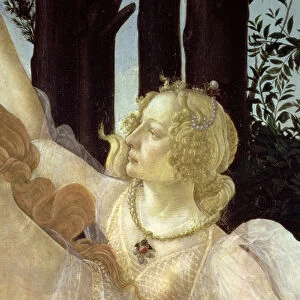 Detail of one of the Three Graces, from the Primavera (tempera on panel) (detail of 558)