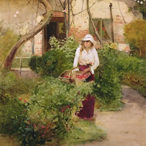 Grandmas Garden (oil on canvas)