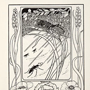 The Grasshopper and the Ant, from Fontaine Fables, pub. 1905 (engraving)
